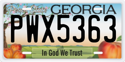 GA license plate PWX5363