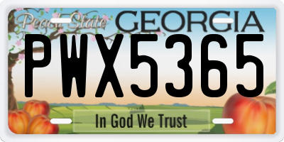 GA license plate PWX5365