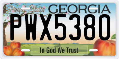 GA license plate PWX5380