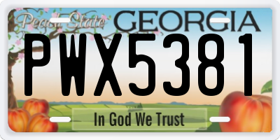 GA license plate PWX5381