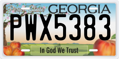 GA license plate PWX5383