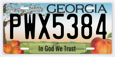 GA license plate PWX5384