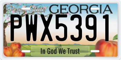 GA license plate PWX5391