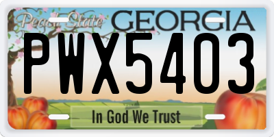 GA license plate PWX5403