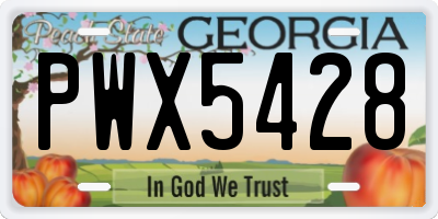 GA license plate PWX5428