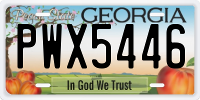 GA license plate PWX5446