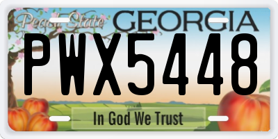 GA license plate PWX5448