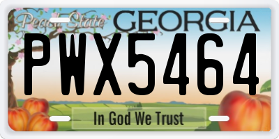 GA license plate PWX5464
