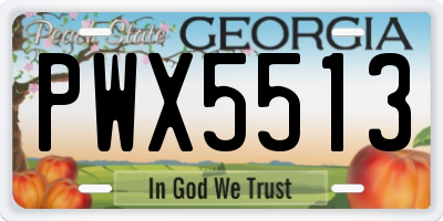 GA license plate PWX5513