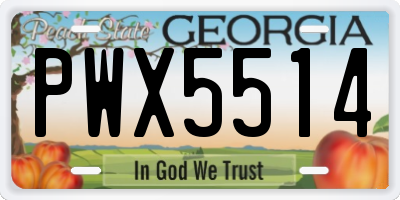 GA license plate PWX5514