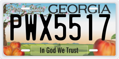 GA license plate PWX5517