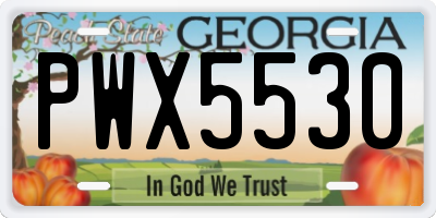 GA license plate PWX5530