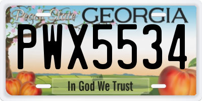 GA license plate PWX5534