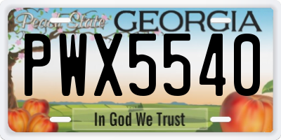 GA license plate PWX5540