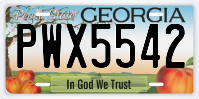 GA license plate PWX5542