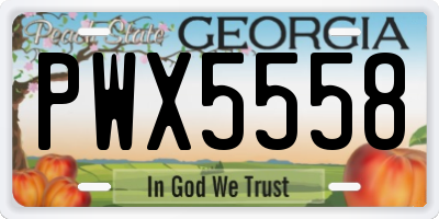 GA license plate PWX5558