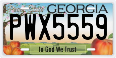 GA license plate PWX5559