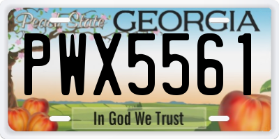 GA license plate PWX5561