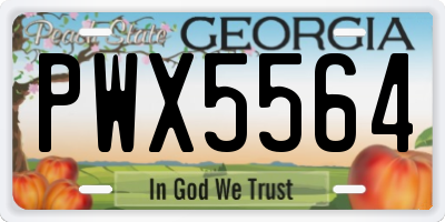 GA license plate PWX5564