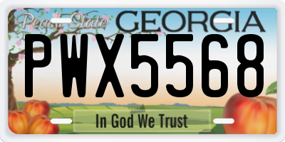 GA license plate PWX5568