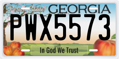 GA license plate PWX5573