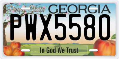 GA license plate PWX5580