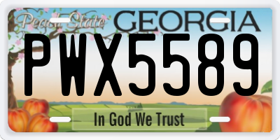 GA license plate PWX5589