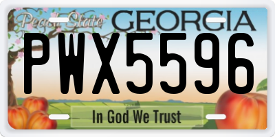 GA license plate PWX5596