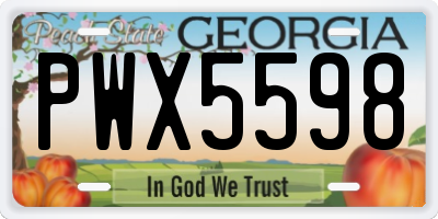 GA license plate PWX5598