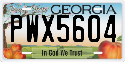 GA license plate PWX5604