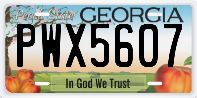 GA license plate PWX5607