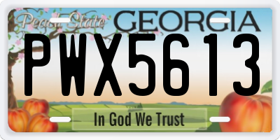 GA license plate PWX5613