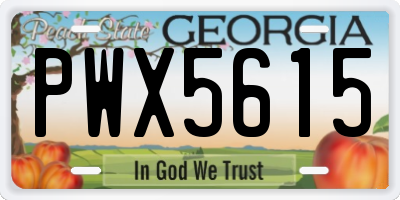 GA license plate PWX5615
