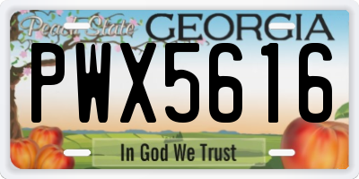 GA license plate PWX5616
