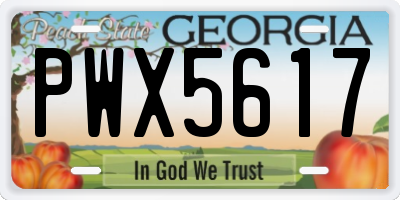 GA license plate PWX5617