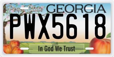 GA license plate PWX5618