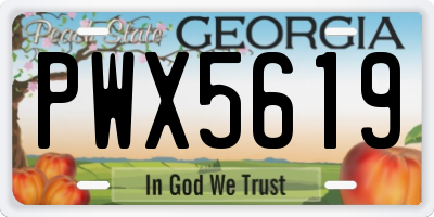 GA license plate PWX5619