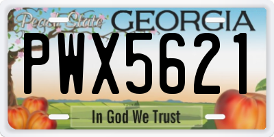 GA license plate PWX5621