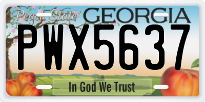 GA license plate PWX5637
