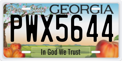 GA license plate PWX5644