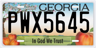GA license plate PWX5645