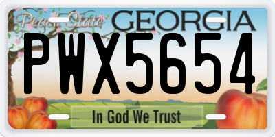 GA license plate PWX5654