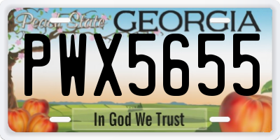 GA license plate PWX5655