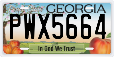 GA license plate PWX5664
