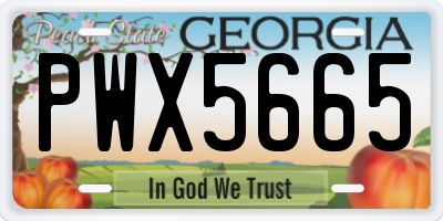 GA license plate PWX5665