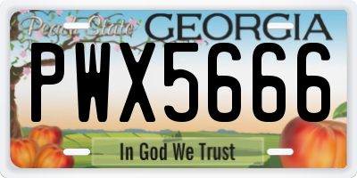 GA license plate PWX5666