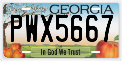 GA license plate PWX5667