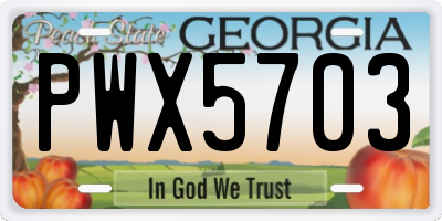 GA license plate PWX5703