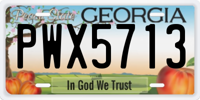 GA license plate PWX5713