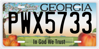 GA license plate PWX5733